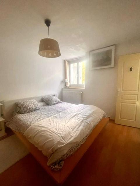 Les Lucioles Apartment Тонон-ле-Бен Екстериор снимка